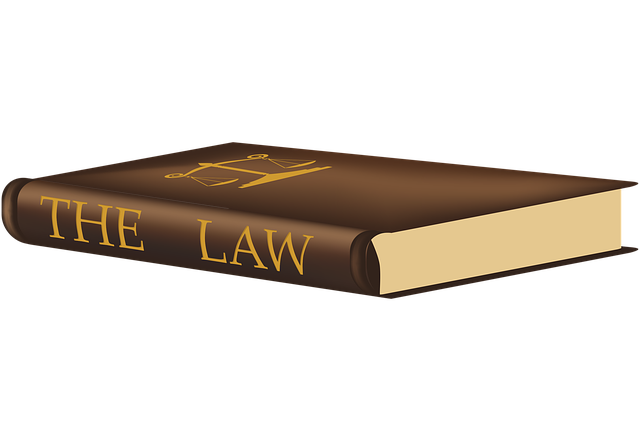 lawyer-attorney-law-judge-640x480-71550638.png